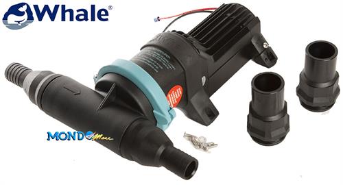 POMPA ACQUE NERE GULPER 12v MACERATORE 18lt/min WHALE*