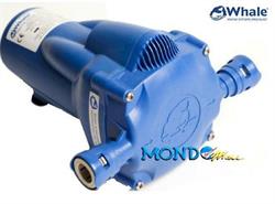 AUTOCLAVE WHALE 8lt/m 12v WATERMASTER AUTOMATIC PRESSURE PUMP §